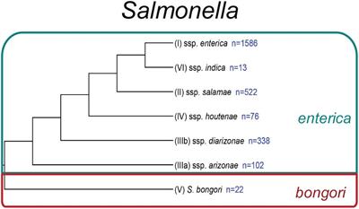 Frontiers | Embracing Diversity: Differences In Virulence Mechanisms ...